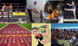 Тимофія Вивчення Біблії